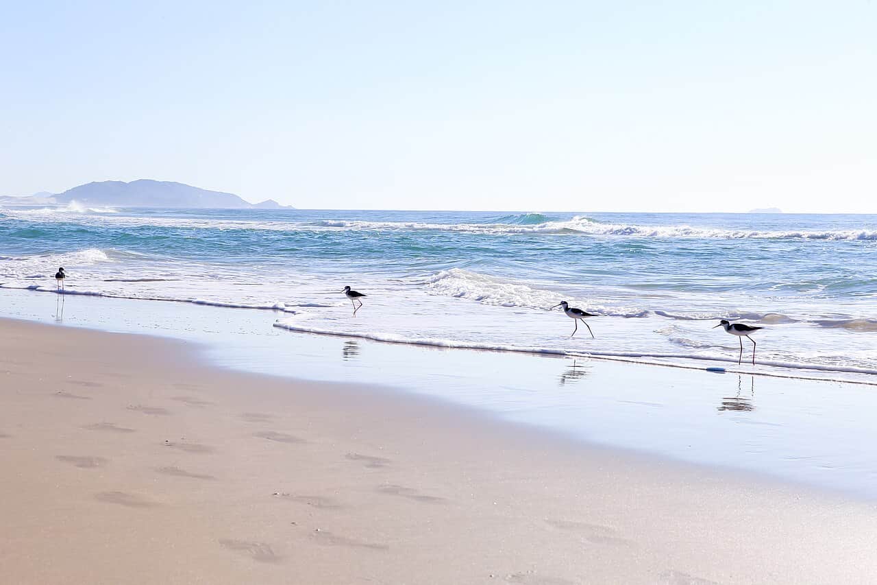 Praia do Campeche, foto 1