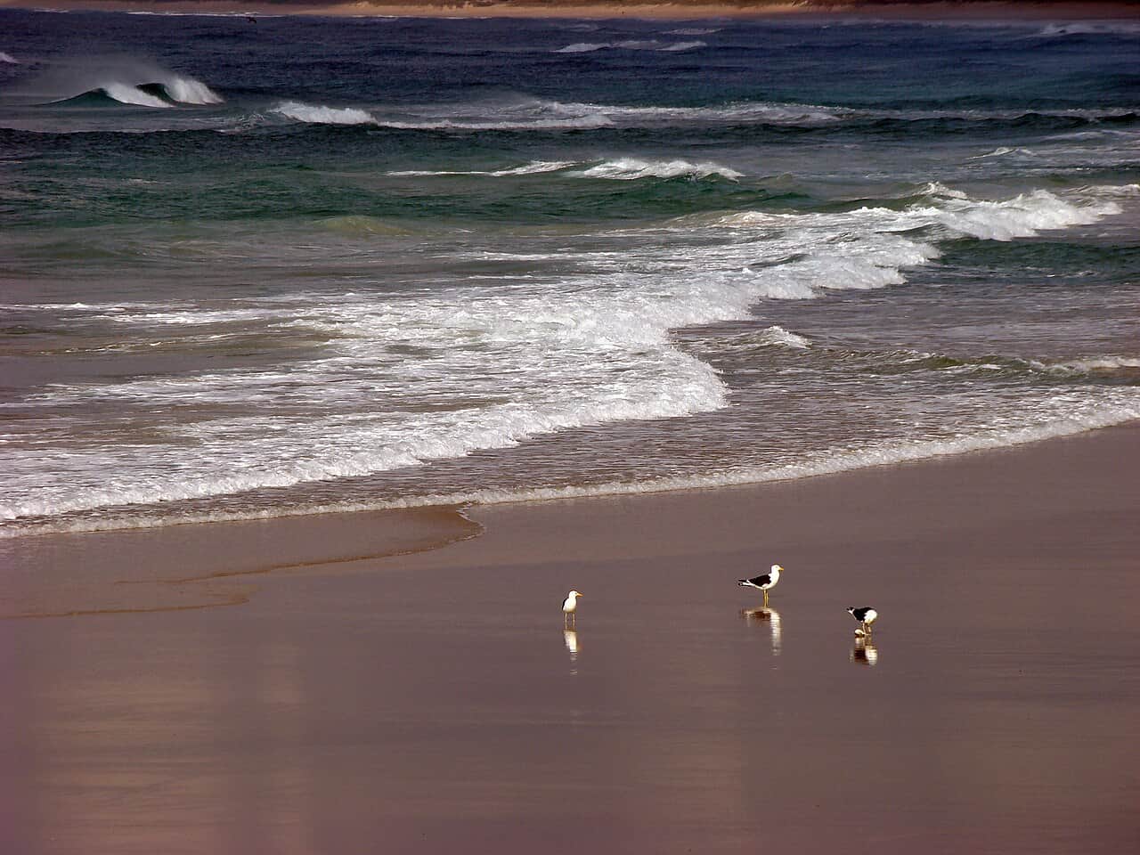 Praia da Joaquina, foto 2