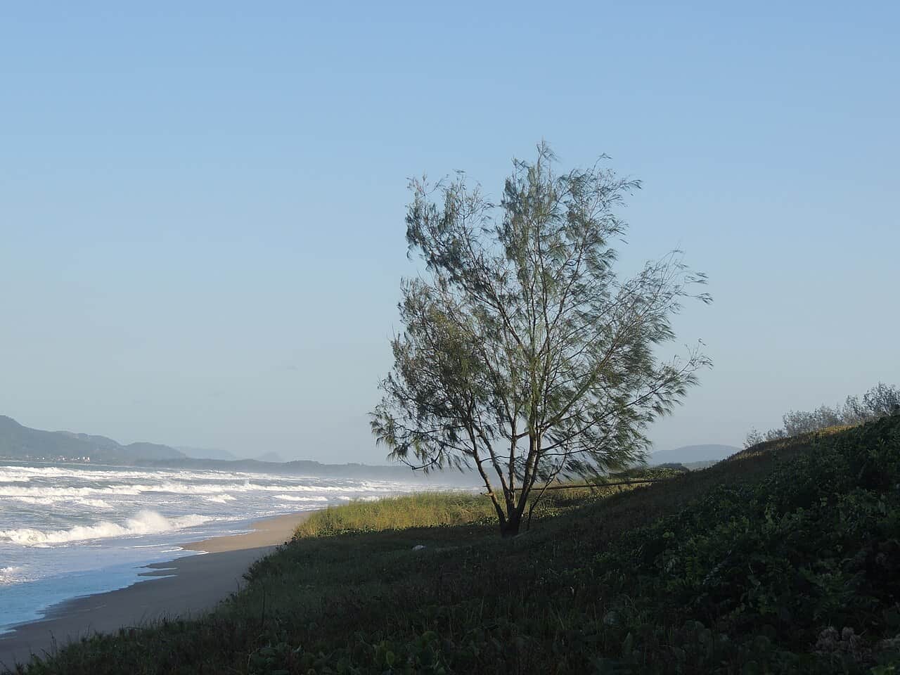 Praia do Moçambique, foto 2